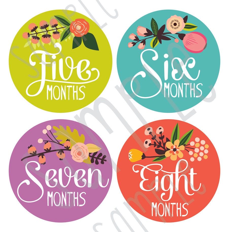 Monthly Baby Stickers Baby Girl Monthly by LucyDarlingShop on Etsy