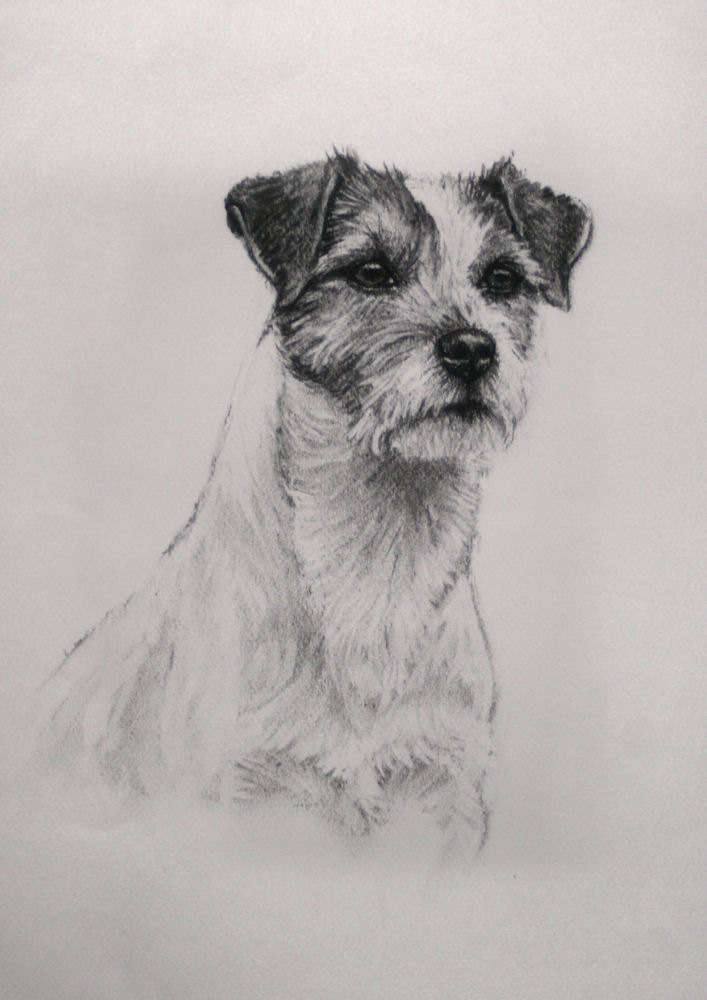 Parson Russell Terrier dog fine art Limited Edition print from an