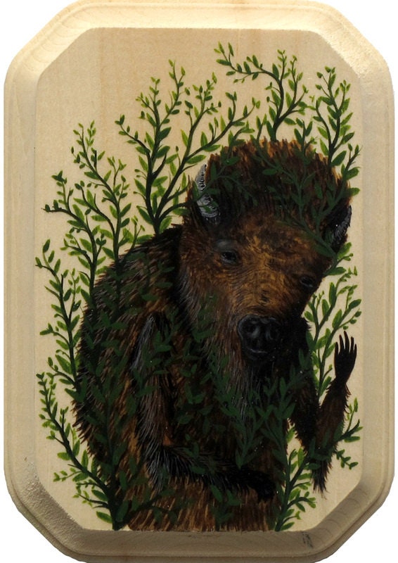 Fern Bison 3