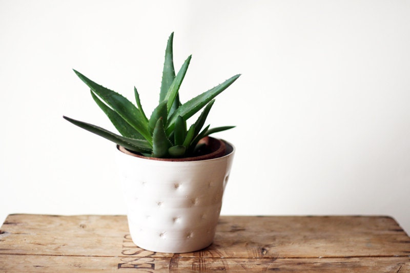 Handmade ceramic flower planter cover - OlisCupboard