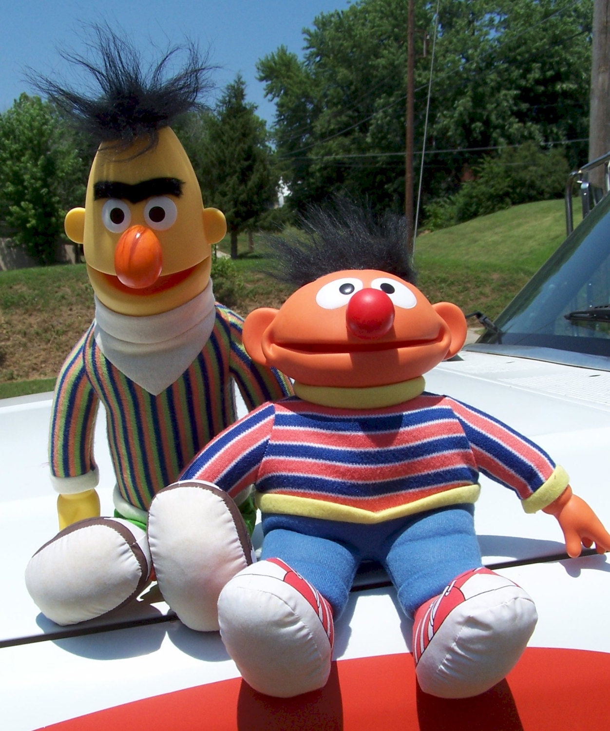 bert and ernie stuffed dolls