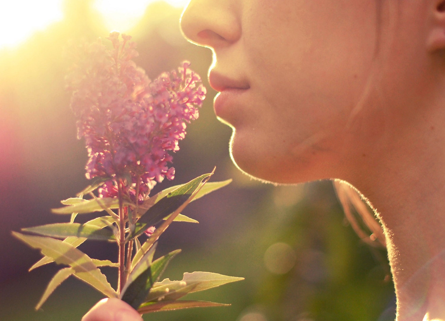 8x10 Warm and sunny photograph of a girl holding flowers, sunlight, lips, girl, purple flowers - Warm Light - NoelleBPhotography