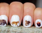 42 Woodland Creatures Nail Decals. Include Bear, Fox, Squirrel, Raccoon, Hawk, deer and Acorn - obscuraoutfitters
