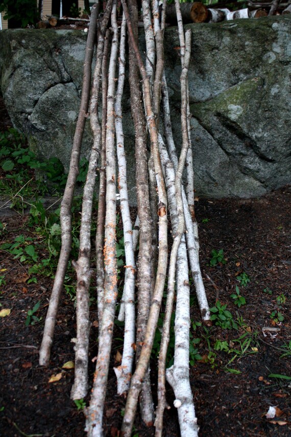 20 White Birch Branches Long and Skinny by rusticcraftdesign