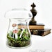 Toadstool Terrarium: Vintage Mushroom Apothecary Jar
