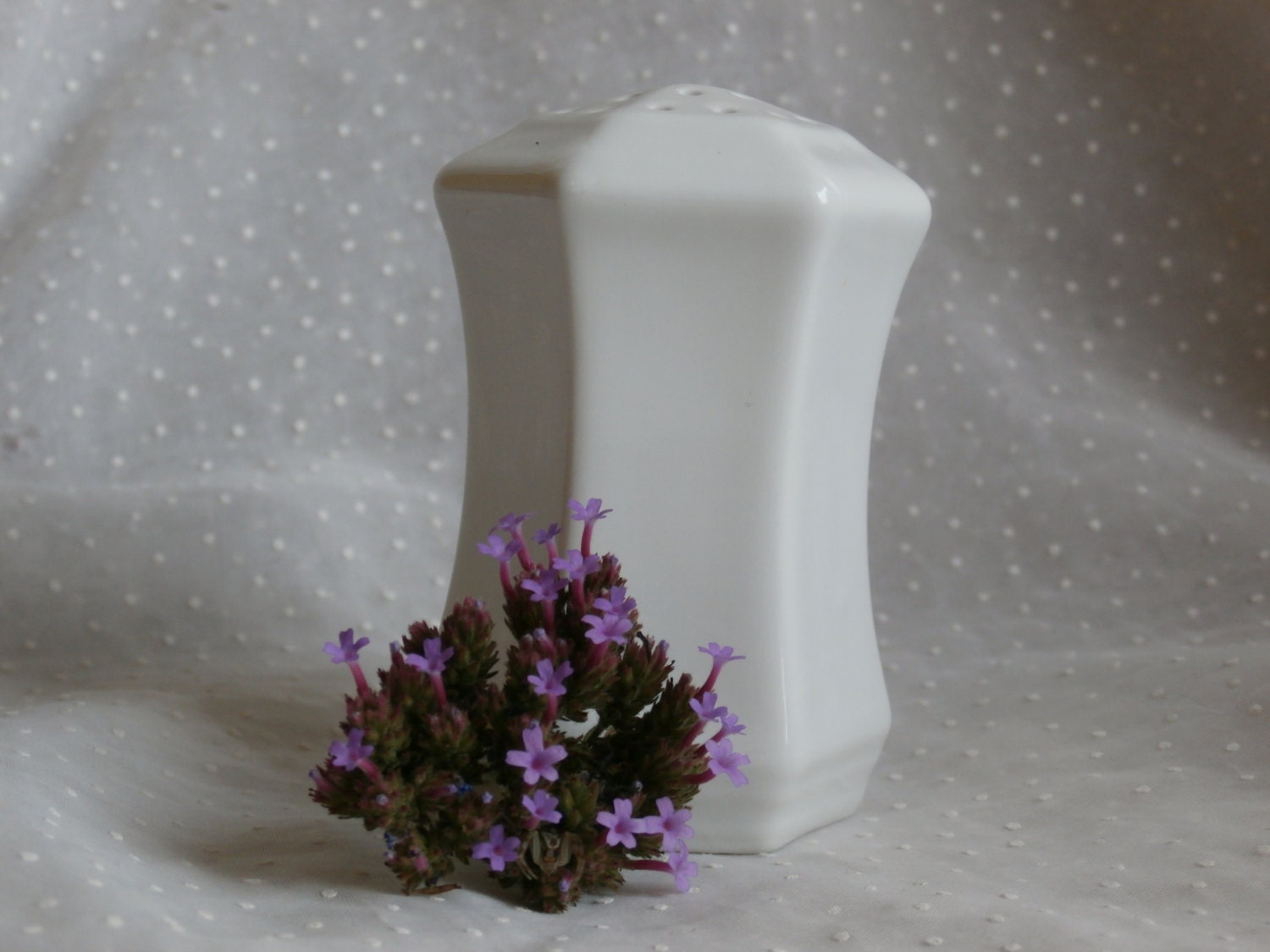 CS Prussia White Porcelain Salt or Pepper Shaker Late 1800s or Early 1900s