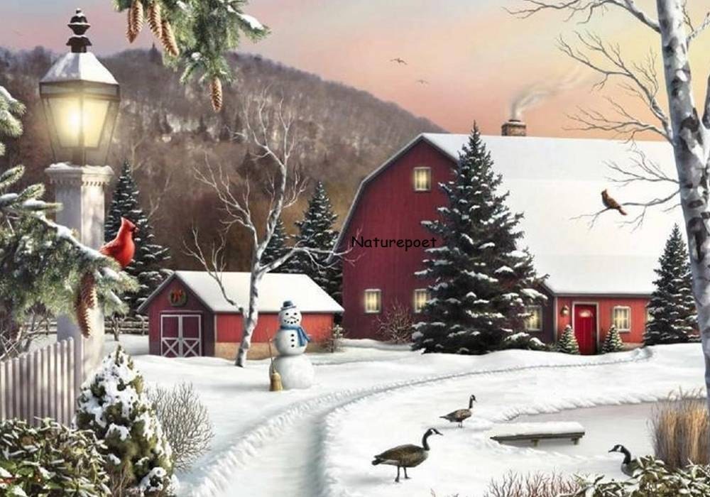 Christmas Cardinals Winter Scene Downloadable by naturepoet