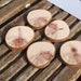 Scots Pine Pendant Blanks for pyrography, drawing and painting on