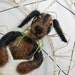 Needle felted dachshund ornament for the dog or pet lover, Pet Pocket, holiday ornament, Christmas, heart ornament