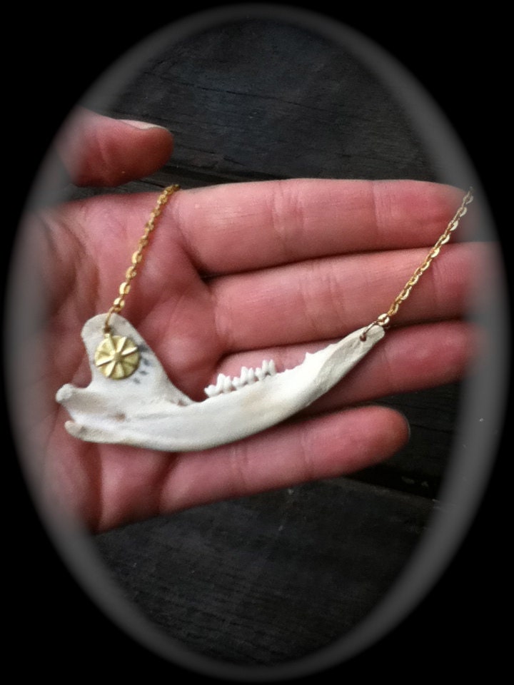 Opossum Jaw Bone Necklace with Charm by SavageRepublic on Etsy