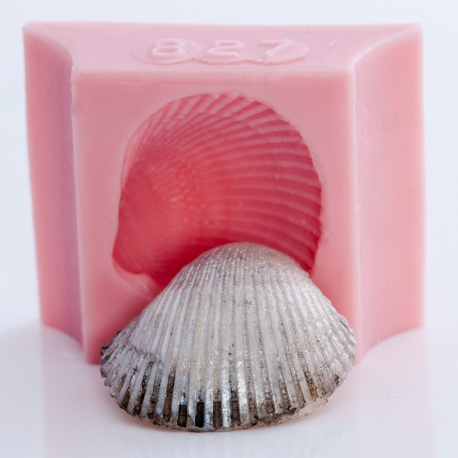 Sea shell mold makes soap candles resin by MoldMeShapeMe on Etsy