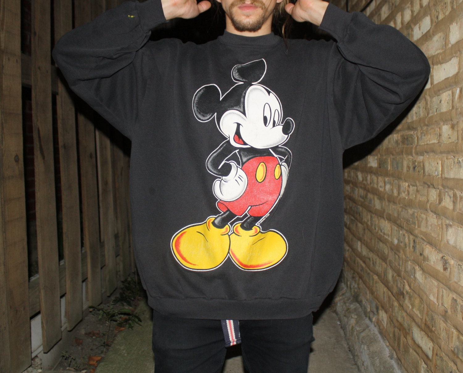 mickey mouse jumper zara