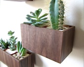 Wall Planter, Plant Holder, Succulent Holder, made from WALNUT wood, MEDIUM rectangular shape (roughly 5" x 3"), plants NOT included - thewoodybeckers