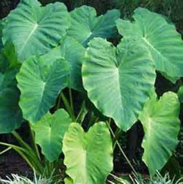 Etsy Your place to buy and sell all things handmade, vintage, and