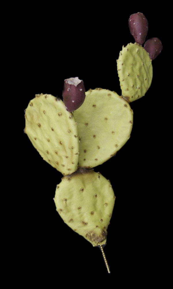 Artificial 4 Padded Prickly Pear Cacti with by PricklyPearCacti