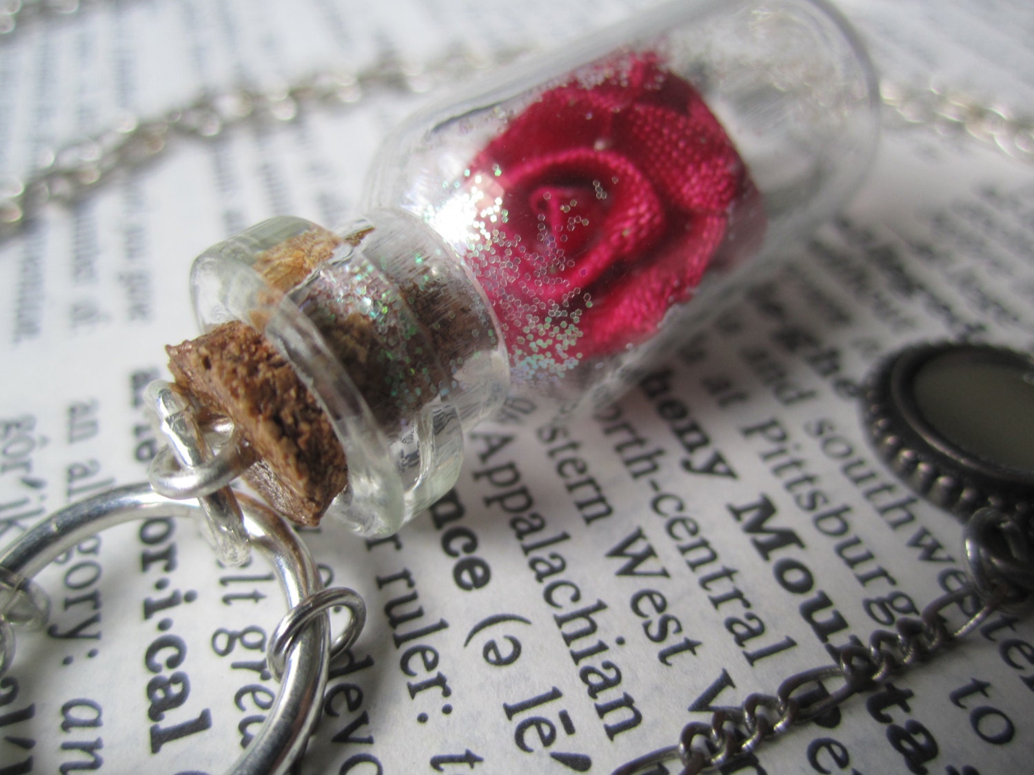 The enchanted Rose - Silver - Beauty and the Beast - Bottle - Glitter - Necklace - love - Jewelry - Disney -