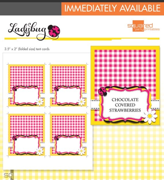 Blank Buffet Labels - Ladybug Printables - Tent Cards - Place Cards - DIY - Do-It-Yourself Printable - Pink Ladybug - Instant Download Il_570xn