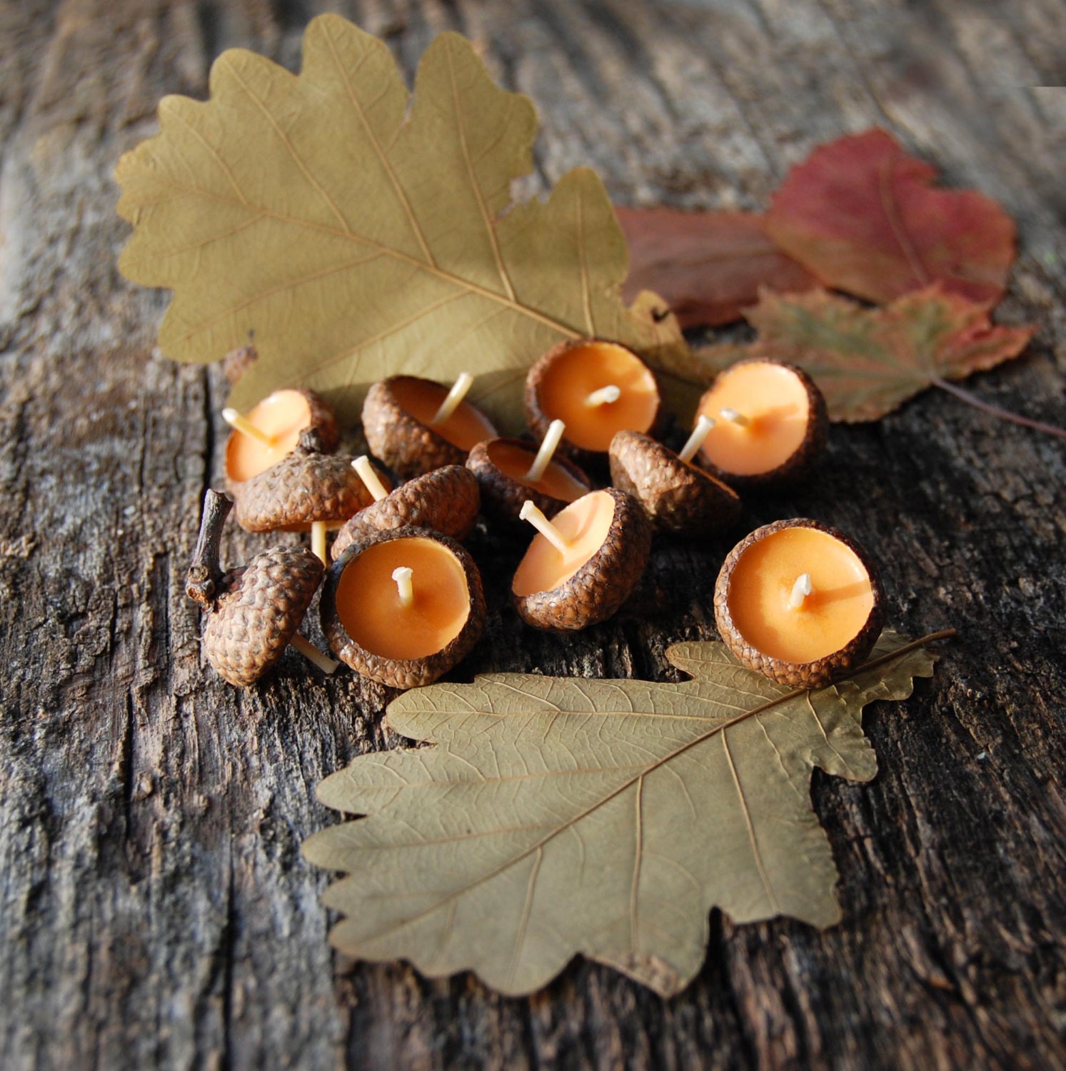 Eco friendly floating cinnamon scented acorn cap orange candle  Halloween decor Thanksgiving decor Birthday Candles Baby Shower Decor Favors - LessCandles