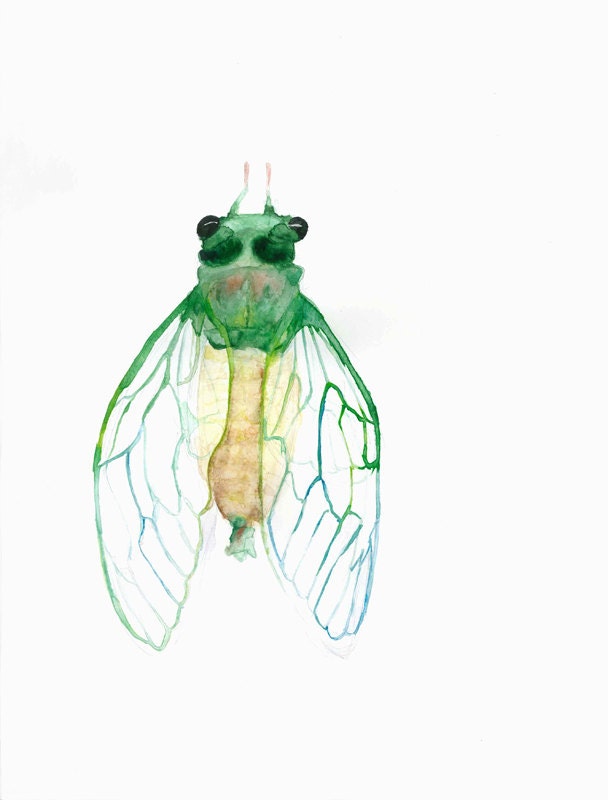 Cicada original watercolor, insect illustration of size 9,40 x 12,60 inches, emerald green and ligth yellow - silvaforestis
