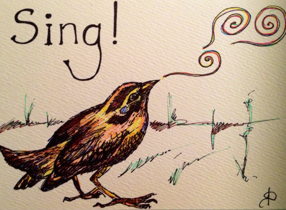 Song Bird- hand drawn greeting card - brilliantstranger
