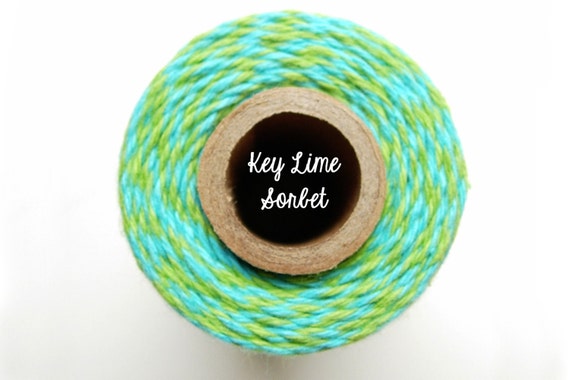 SALE - NEW Aqua and Lime Green Bakers Twine by Timeless Twine - Key Lime Sorbet