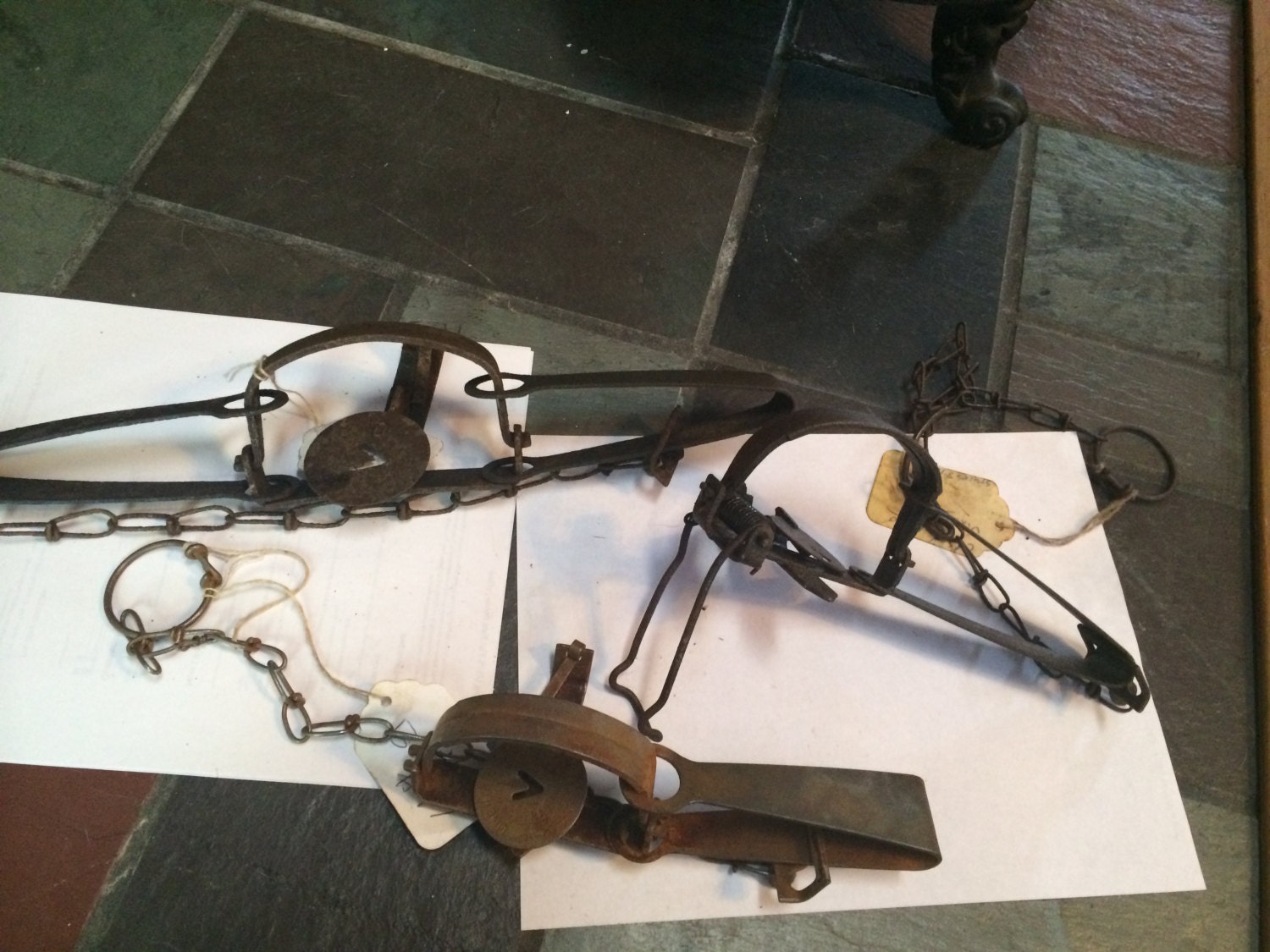 Popular items for steel trap on Etsy