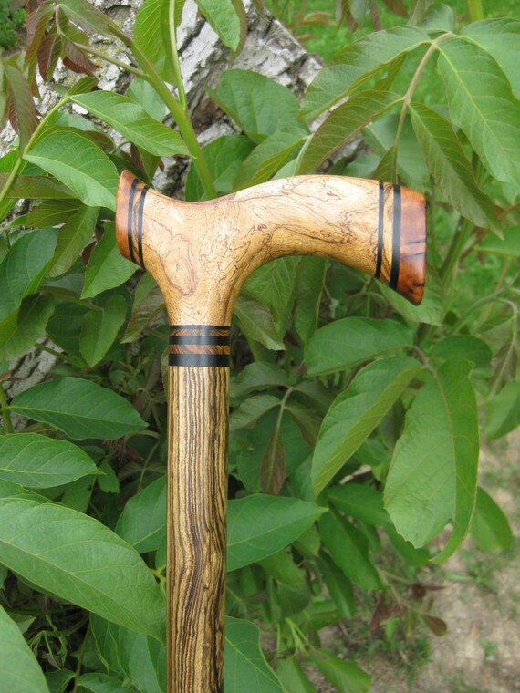Sindora Burl Exotic Wood Walking Cane Wooden Cane by gammamike