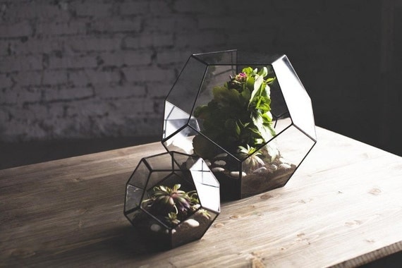 http://www.etsy.com/listing/159713403/glass-terrarium-dodecahedron