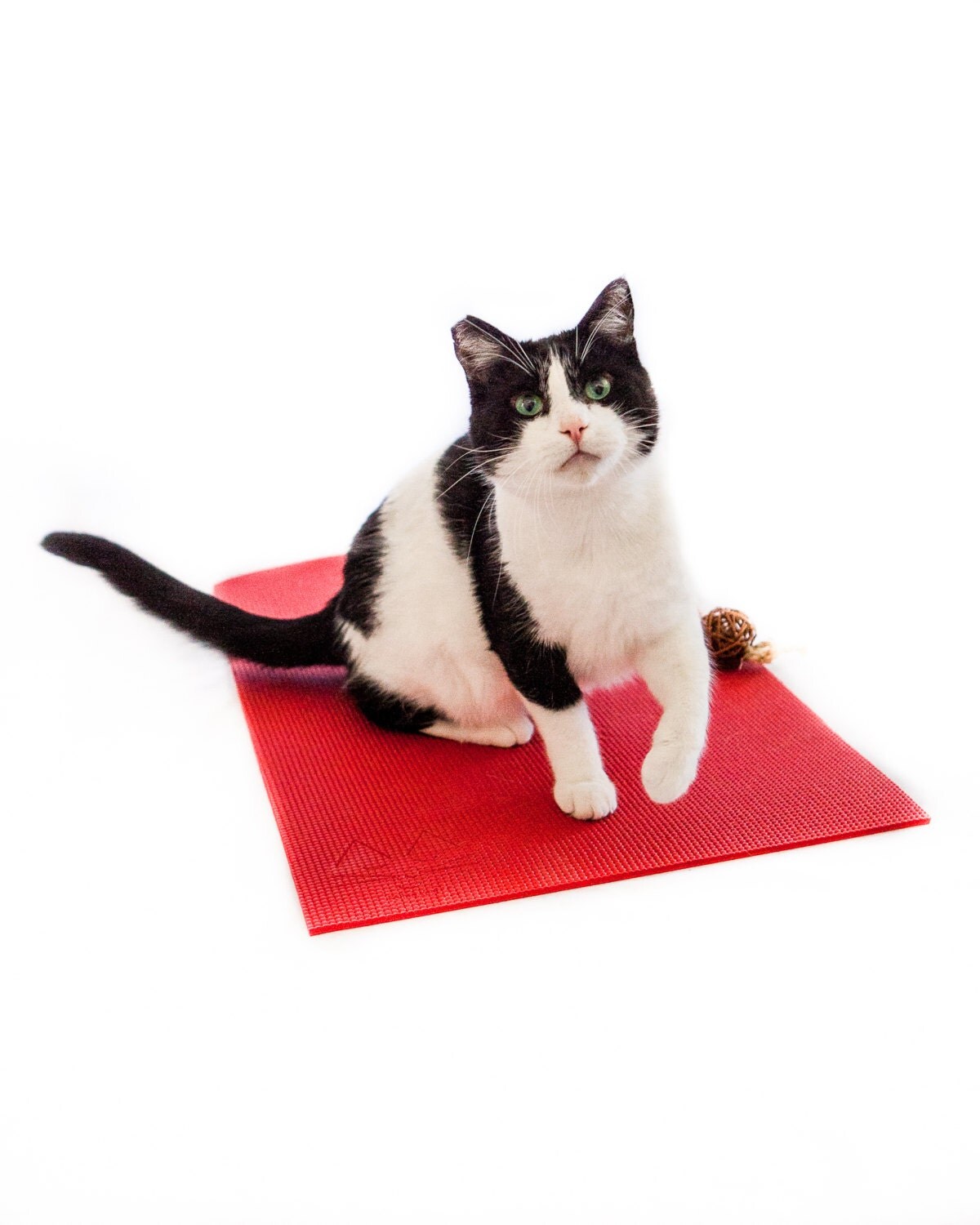 cat mat toy