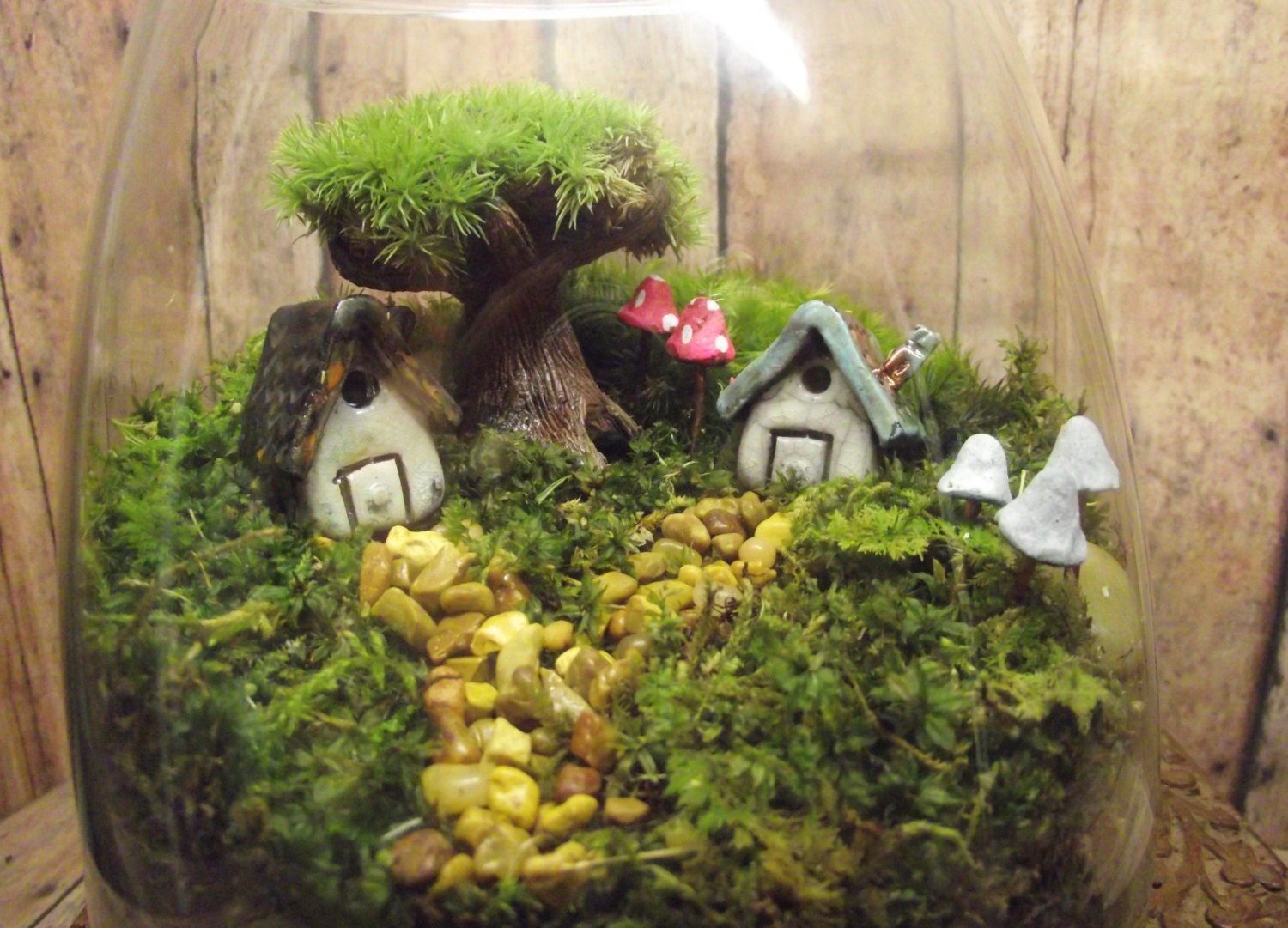 Large Miniature Landscape Live Moss Terrarium With Tiny Raku