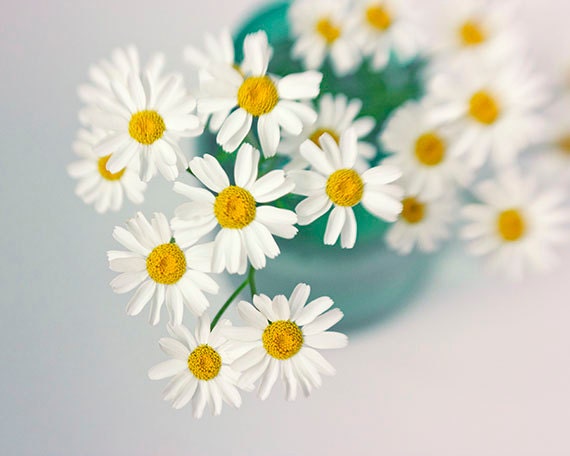 White Daisy Photograph, Flower Bouquet Still Life, Floral Wall Decor - JudyStalus