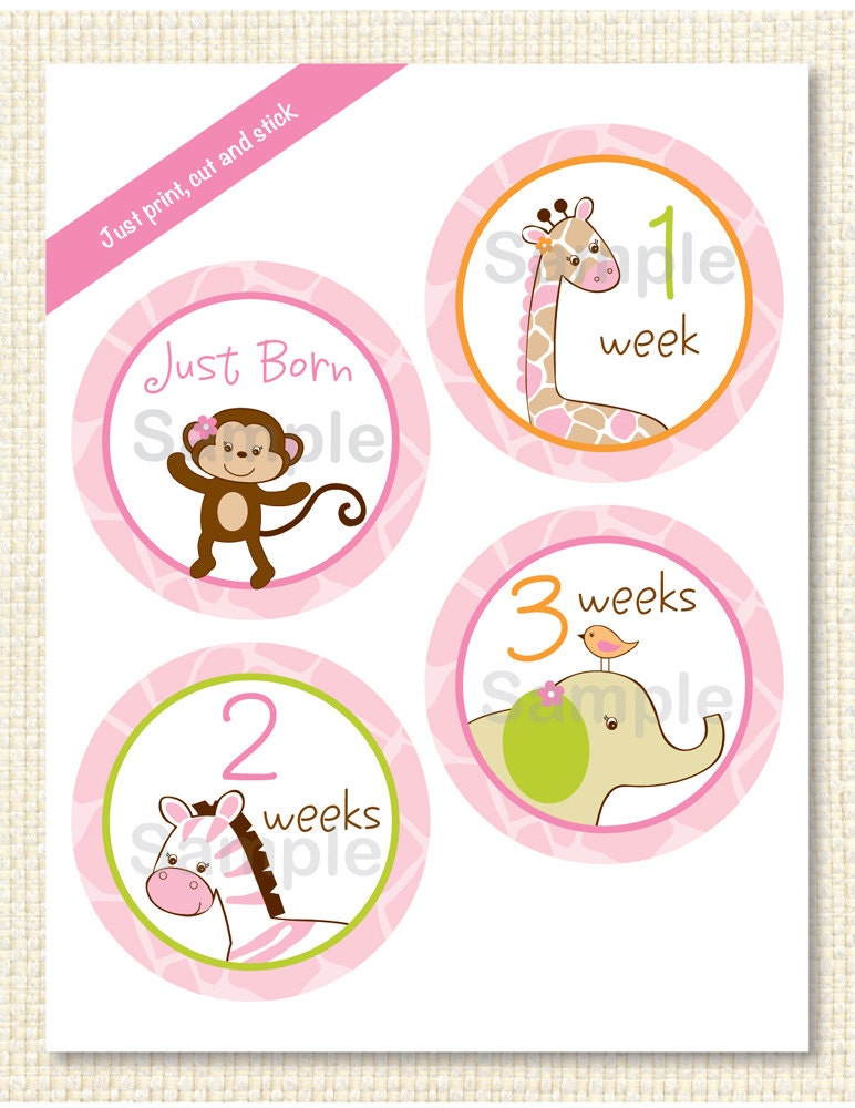 Girl Jungle Animal Monthly Milestone Printable Stickers Il_570xn