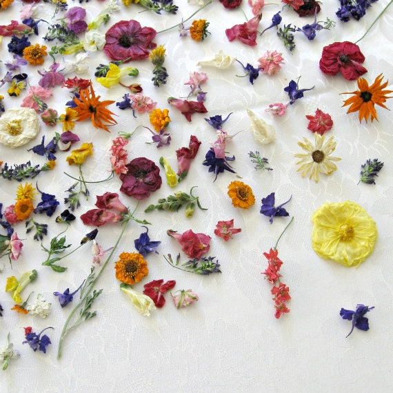 Wedding Decorations, Dried Flowers, Flower Confetti, Petals Confetti - LarkspurHill