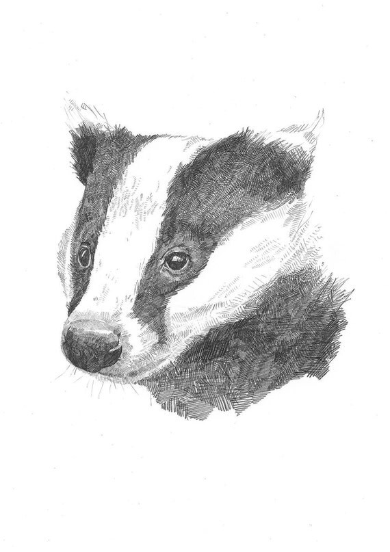 badger tattoo inspiration on Pinterest | Mammals, Natural Resources and