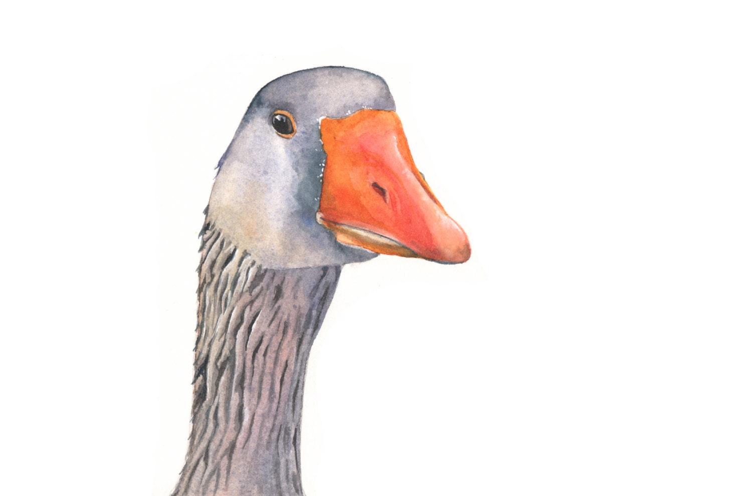Goose Watercolor Painting nature bird art print by LouiseDeMasi