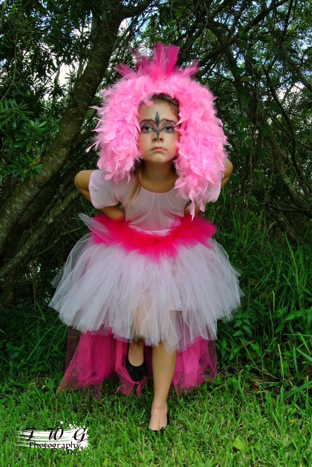 Flamingo+Tutu+Costume Flamingo Tutu and Headpiece Costume Pageant Costume Theater Girl size ...