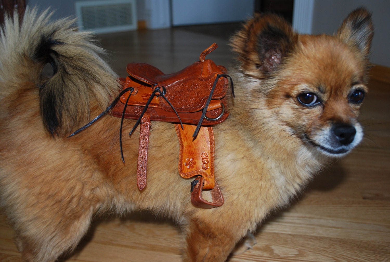 Saddle for small dog by Manypawz on Etsy