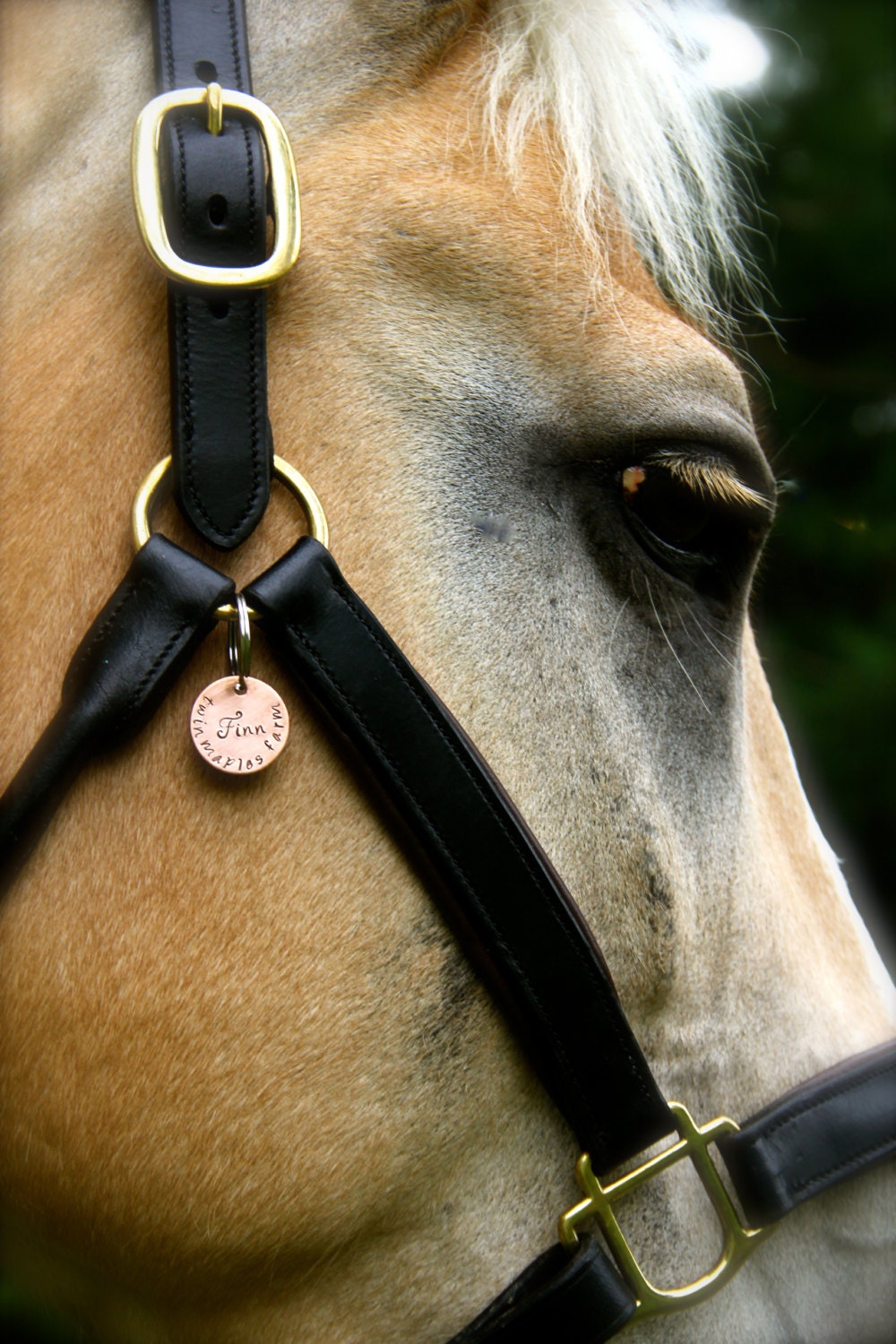 Custom Equestrian Halter Tag Bridle Tag In By TheCopperPoppy