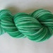 Aerialist Sock 100% Superwash Merino Sock Fingering Color: mint meltaway