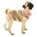 Pullover Dog Sweater