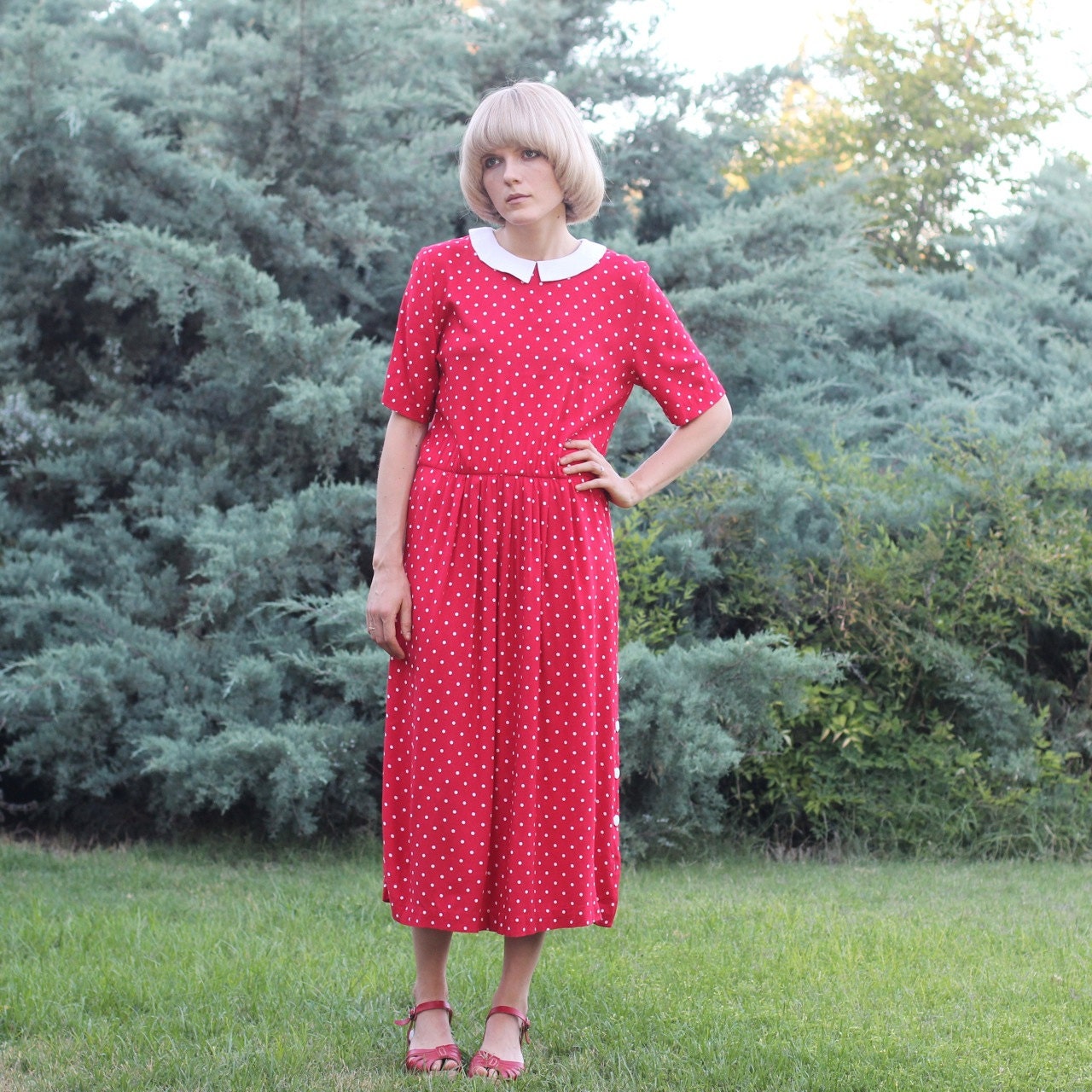 Photo of a big bunny rabbit!