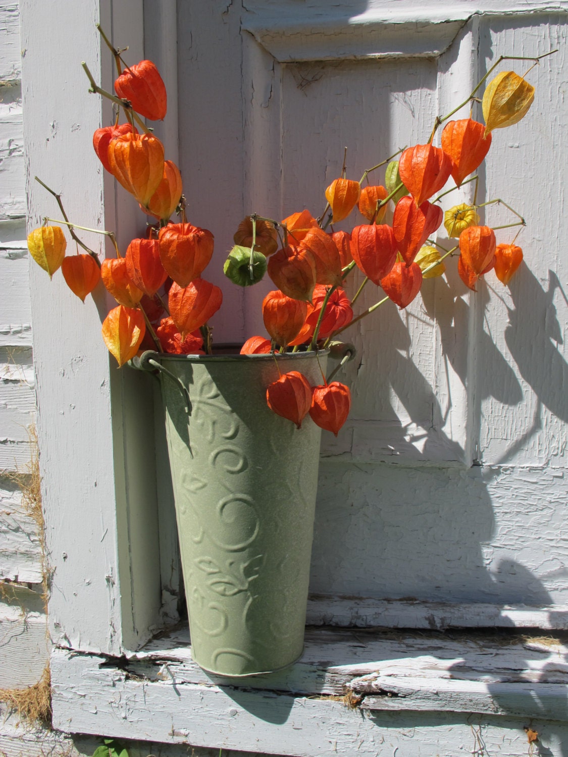 2013 CHinese JAPANESE LANTERNS Dried Stems flowers by svelteSTUFFj