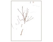 Brown Branches In The Snow Drifts, Undercover, Snowstorm,  Nature, Maine, Winter, Woodland, Modern, Graphic Minimalist, FREE SHIPPING USA