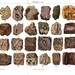 Gemstones, Minerals and Rocks Antique Print Geology Mineralogy 1920s Scientific Illustration