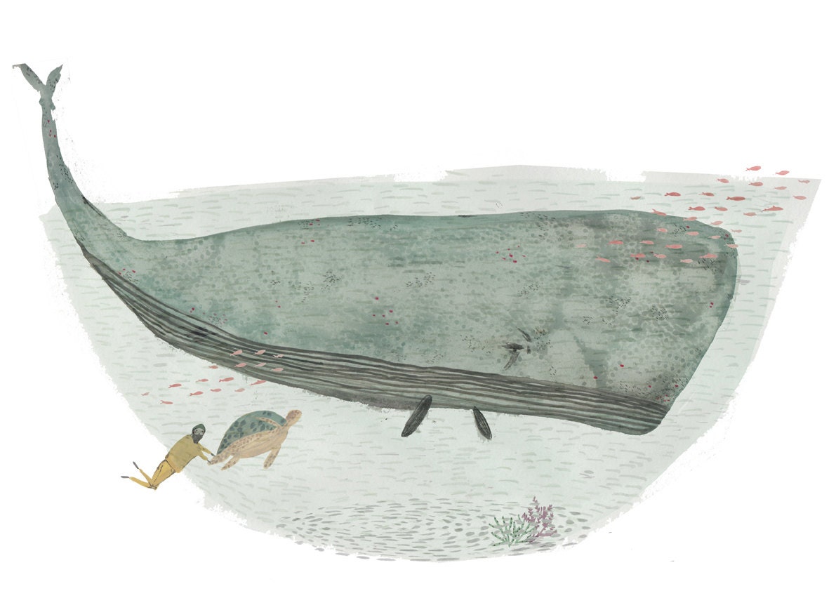 Whale. Art print. Ilustration Print. - Amyislaillustration