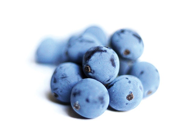 Oregon Grapes Photography 8x10 Print Berry Blue Kitchen Food Fruit Macro White Wall Decor Shrub - EternalMoment
