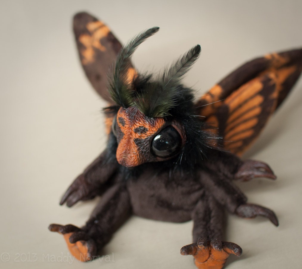 hawk moth plush