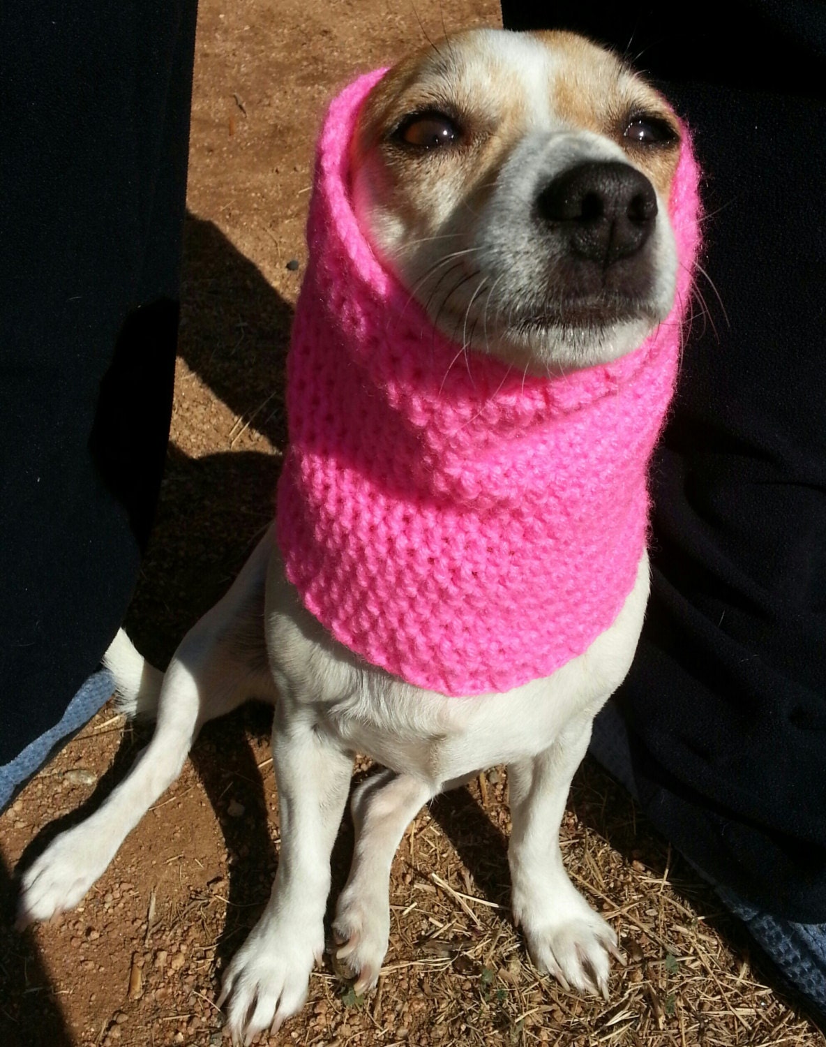 Crochet Dog Snoods by StonersRUs on Etsy