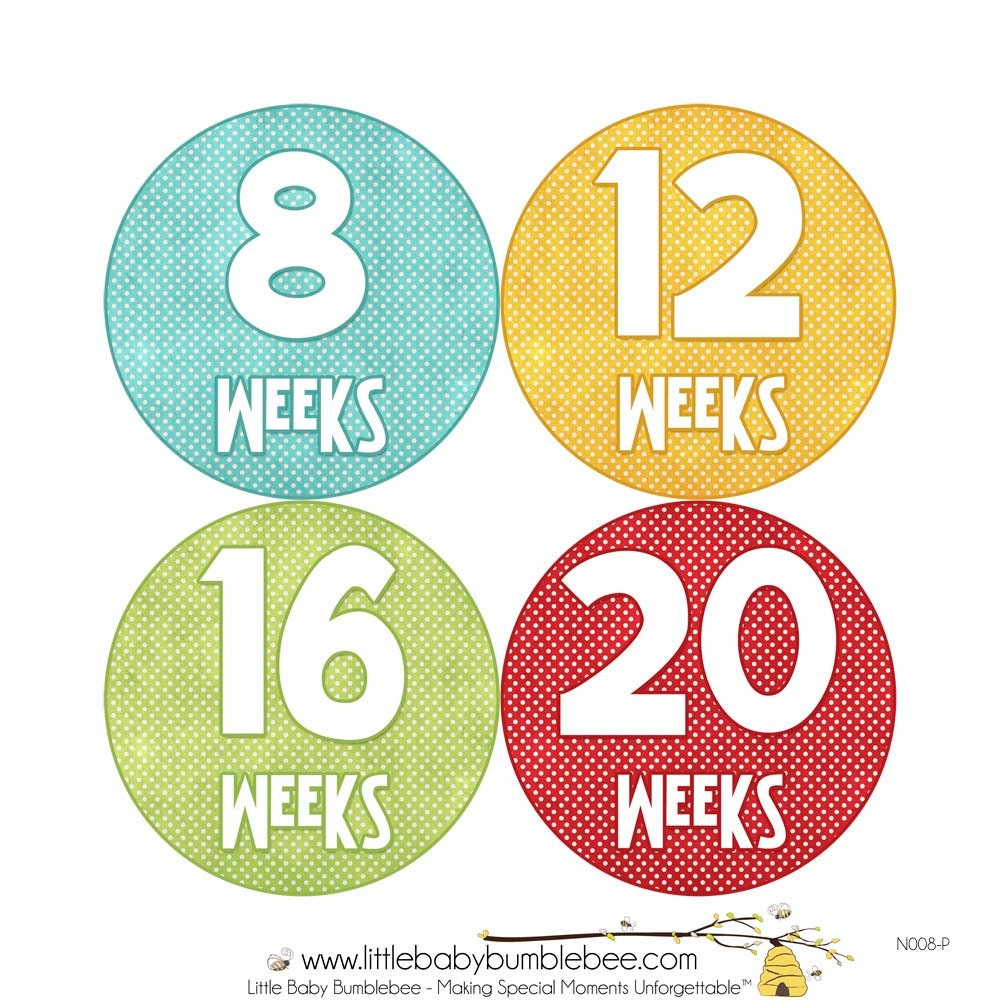 Pregnancy Stickers Pregnancy Announcement by LittleBabyBumblebee