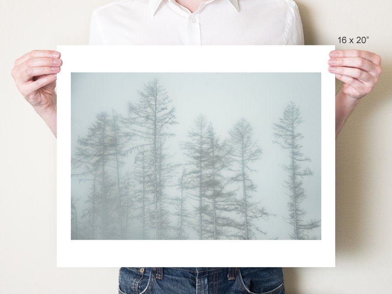 Forest photography, winter landscape woodland photograph. Misty larch trees, England. Monochromatic forest print. Small / large format sizes - tombland